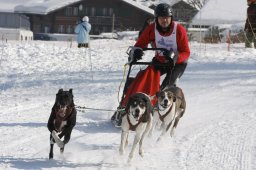 Lenk 2012 SM